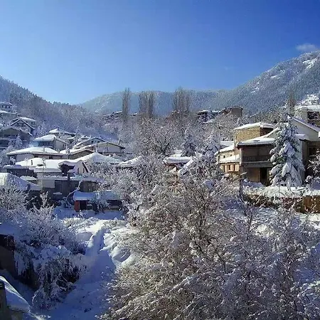 Alexandra Affittacamere 3*